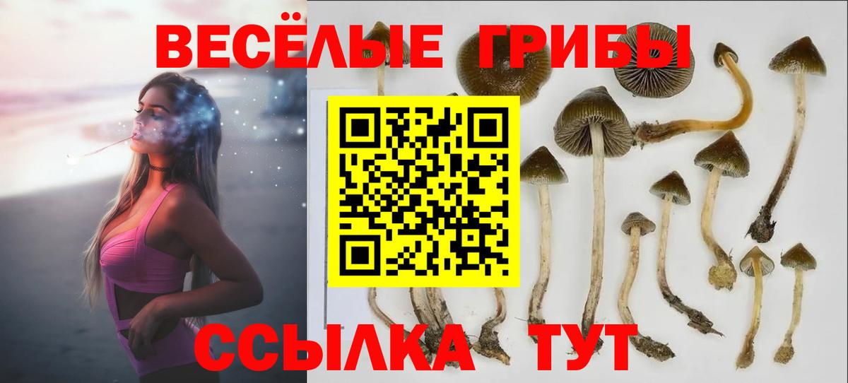 Галлюциногенные грибы прущие грибы  Псилоцибиновые грибы ЛСД  Вход с VPN  Ковров 