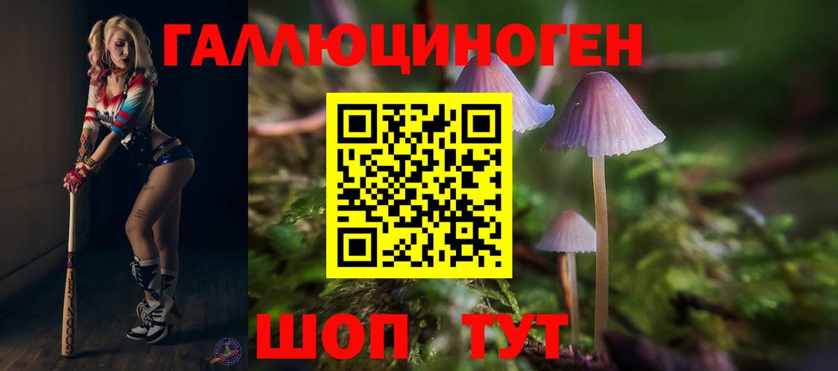 Псилоцибиновые грибы мицелий Ковров